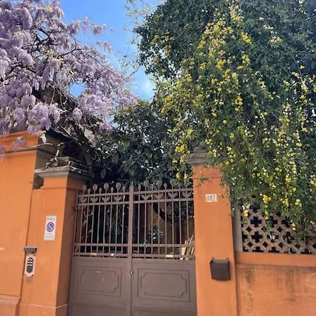 Liberty Franceschetta Modena