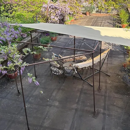 Apartment Liberty Franceschetta *